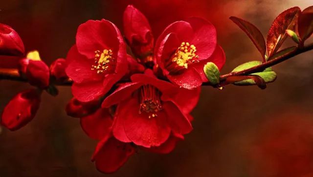 为了开出一张有质量的处方，得背背这个