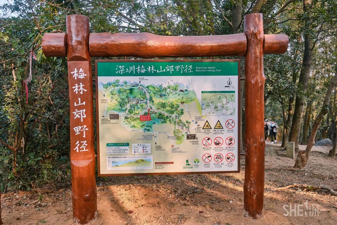 深圳疫情过后的商业街景,疫情过后深圳哪个商场最好