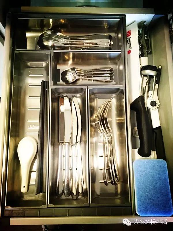 苏州带宠物去的古镇,苏州小众宠物乐园推荐