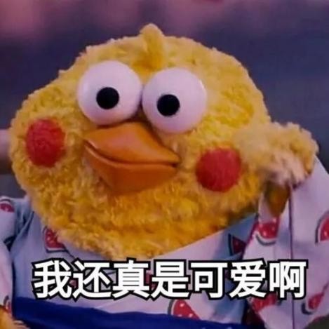 矫正牙齿你最关心的问题,矫正前需要问医生的问题