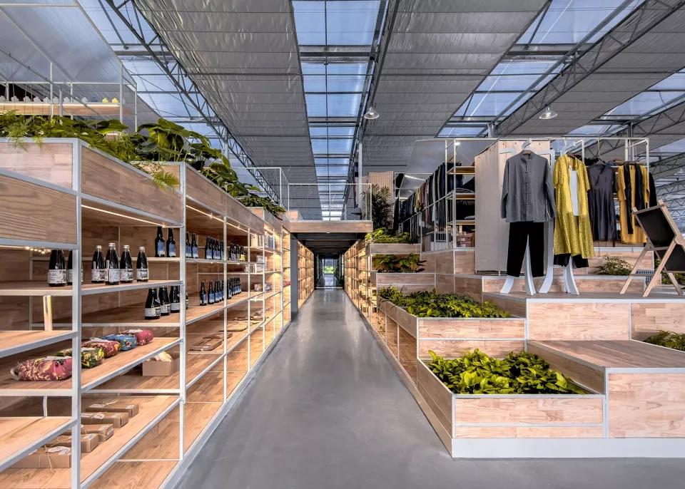 乡村振兴特色文化案例分享,关于乡村振兴比较有创意的点子