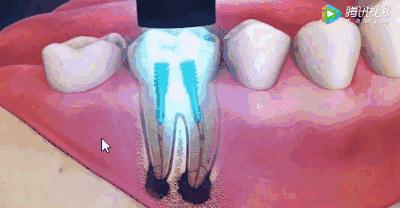 上海雅悦齿科,雅悦齿科医院简介