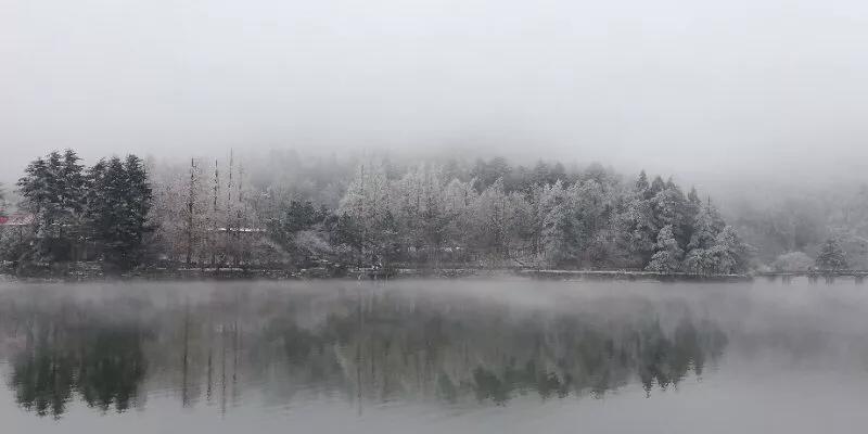 手拍世界,手拍世界近期作品