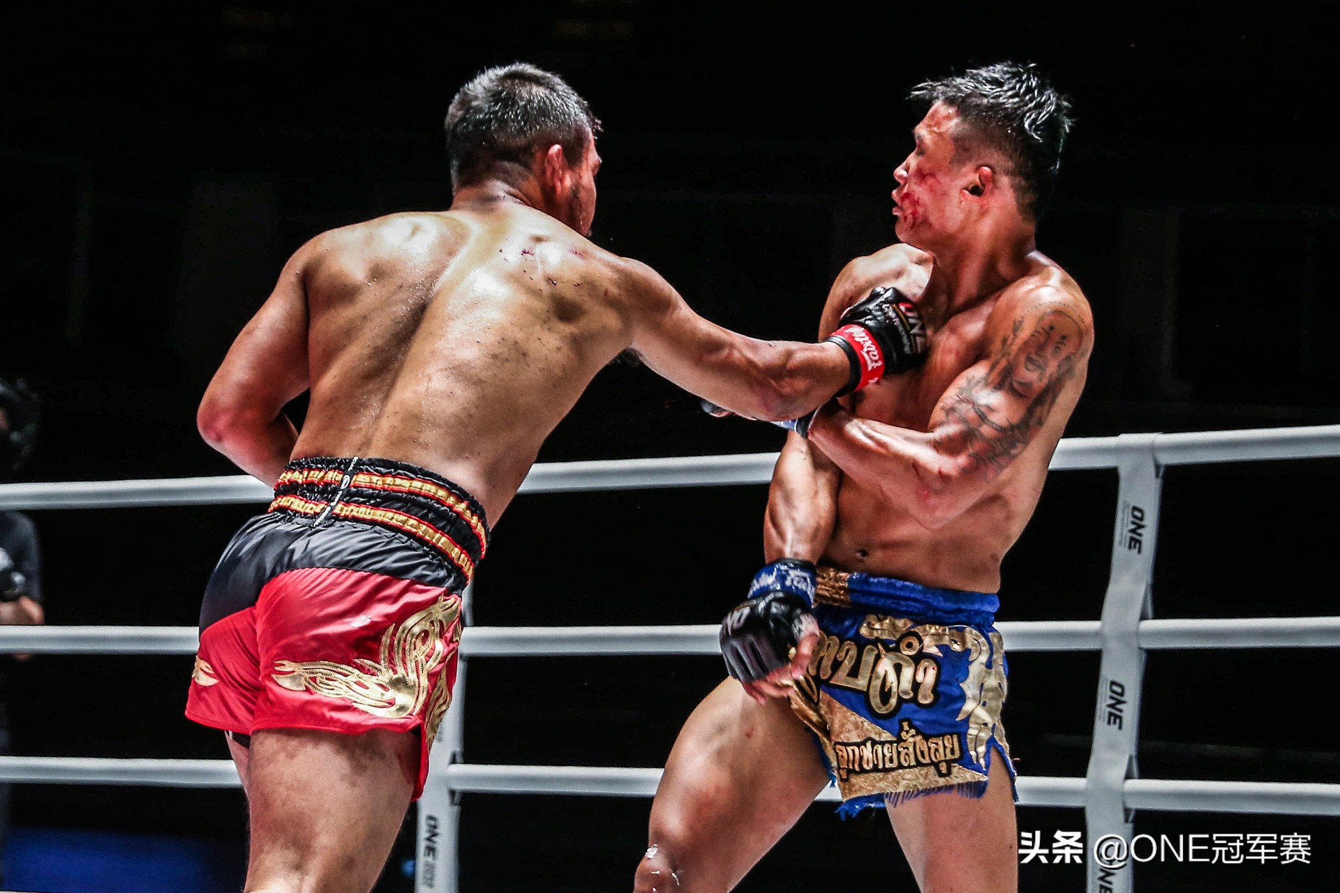 one万物新生,one冠军赛各位选手万物新生