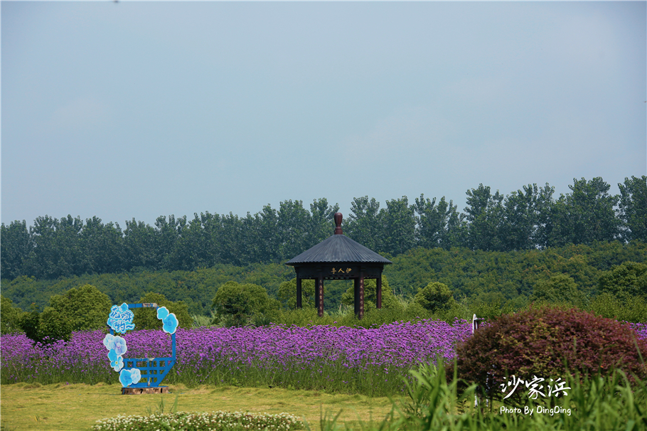 苏州红色革命旅游景点图片,苏州红色革命景点介绍视频