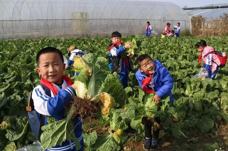 厉害了孩子们,厉害了小朋友们视频