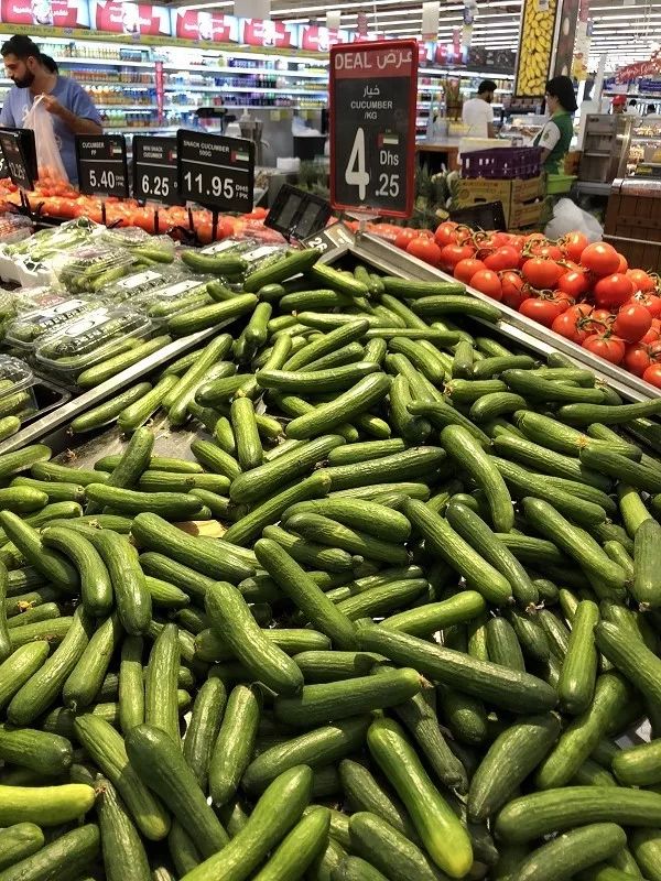 在迪拜怎么降低生活成本,迪拜一周生活成本多少钱