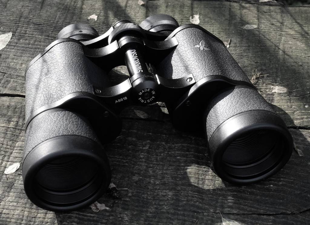 施华洛世奇1000左右,施华洛世奇低端系列