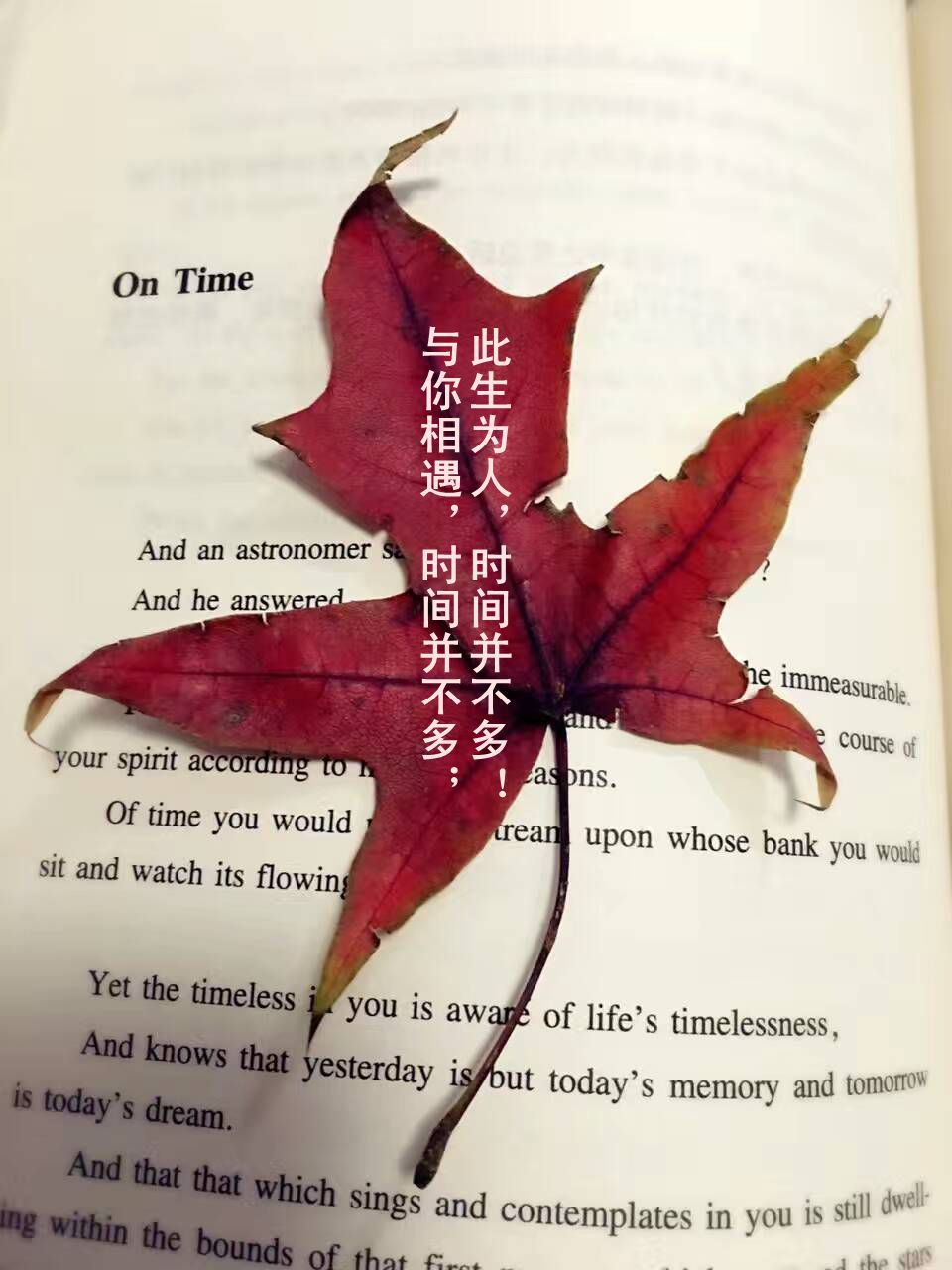 酒店员工应知应会的基本知识,酒店员工基础知识