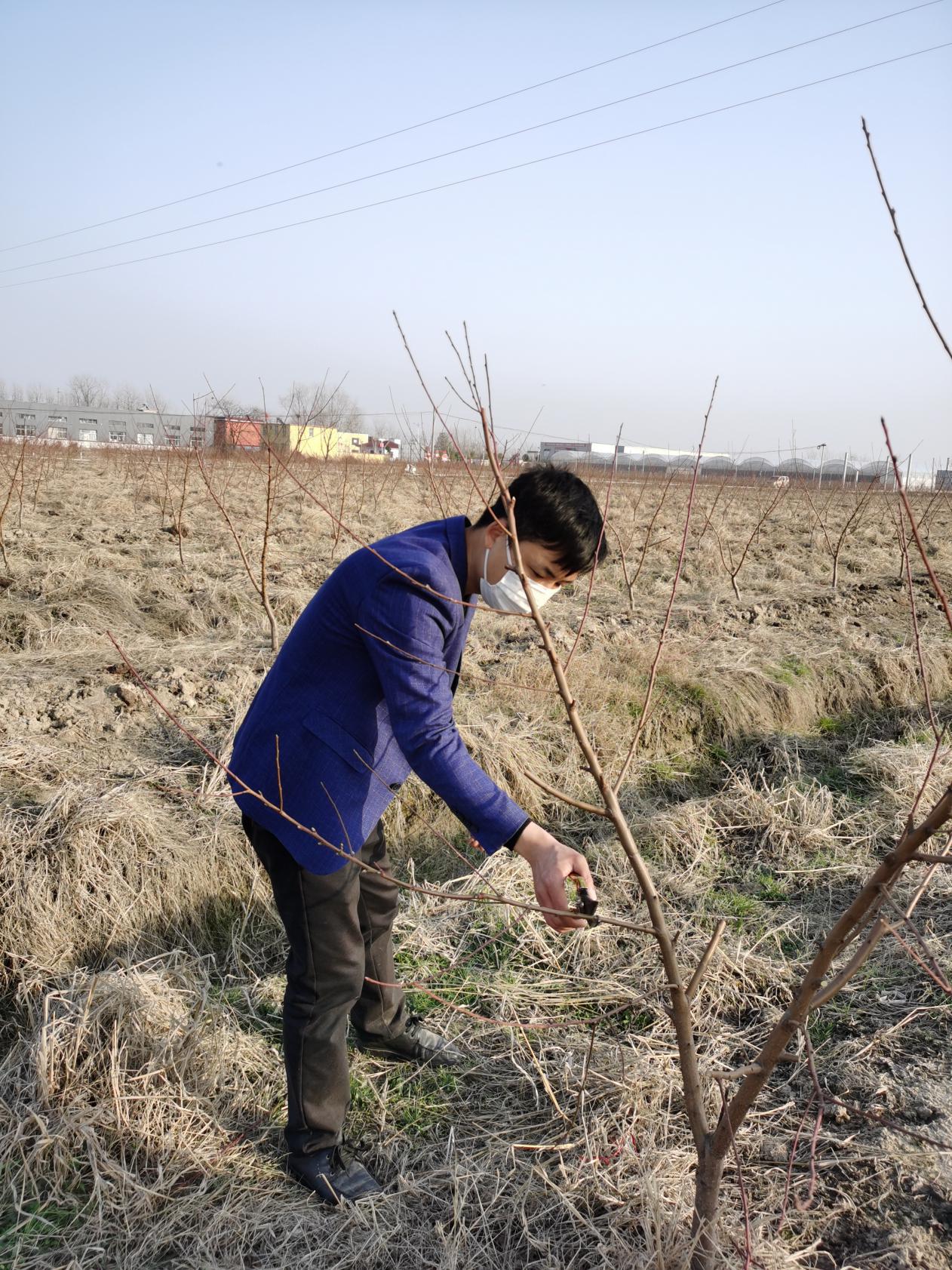 战疫情保春耕预防倒春寒,战疫情保春耕生产