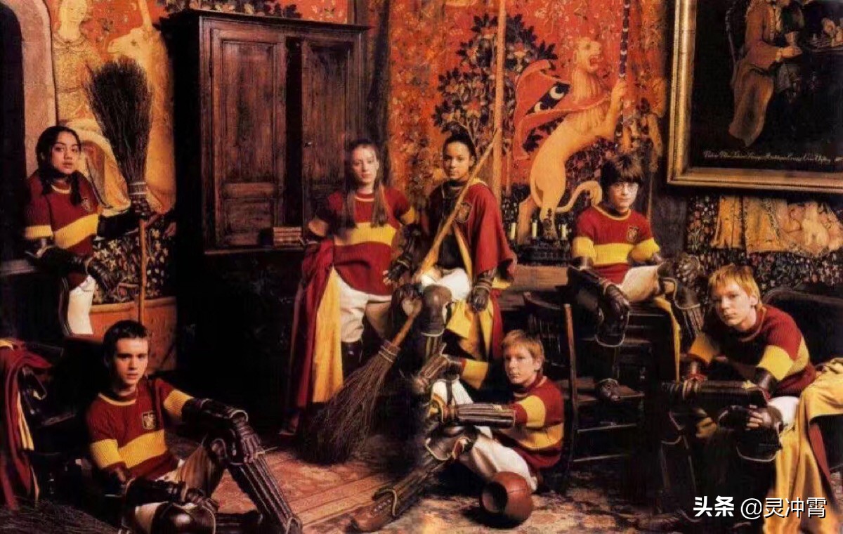 哈利波特中的魁地奇球,哈利波特里面的魁地奇球