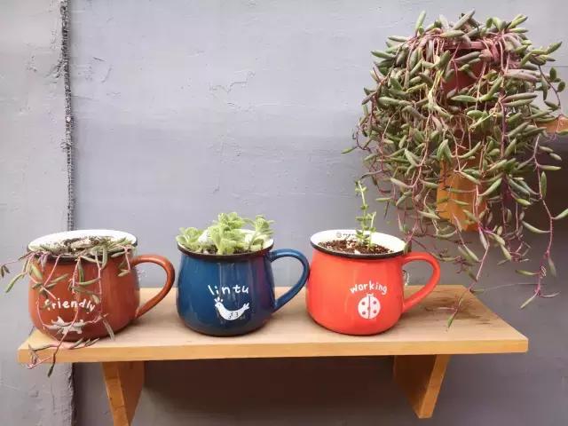 平房小户型房屋改造,40平出租房改造图片