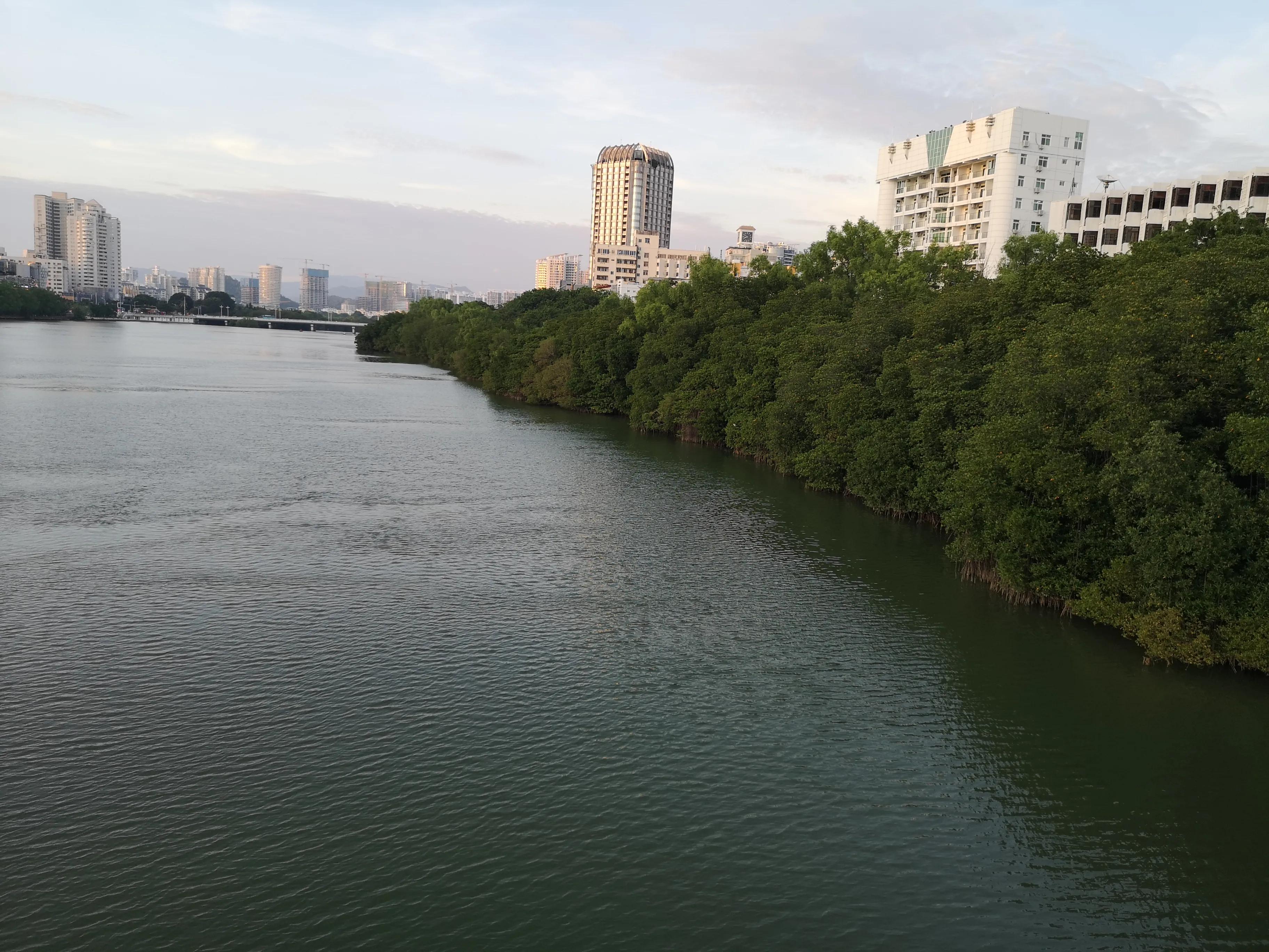三亚红树林,神奇的亚马逊雨林