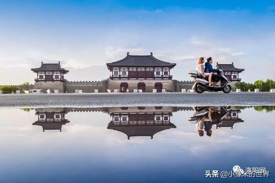 河南洛阳发布最新通知,洛阳牡丹花会向全世界发出邀请