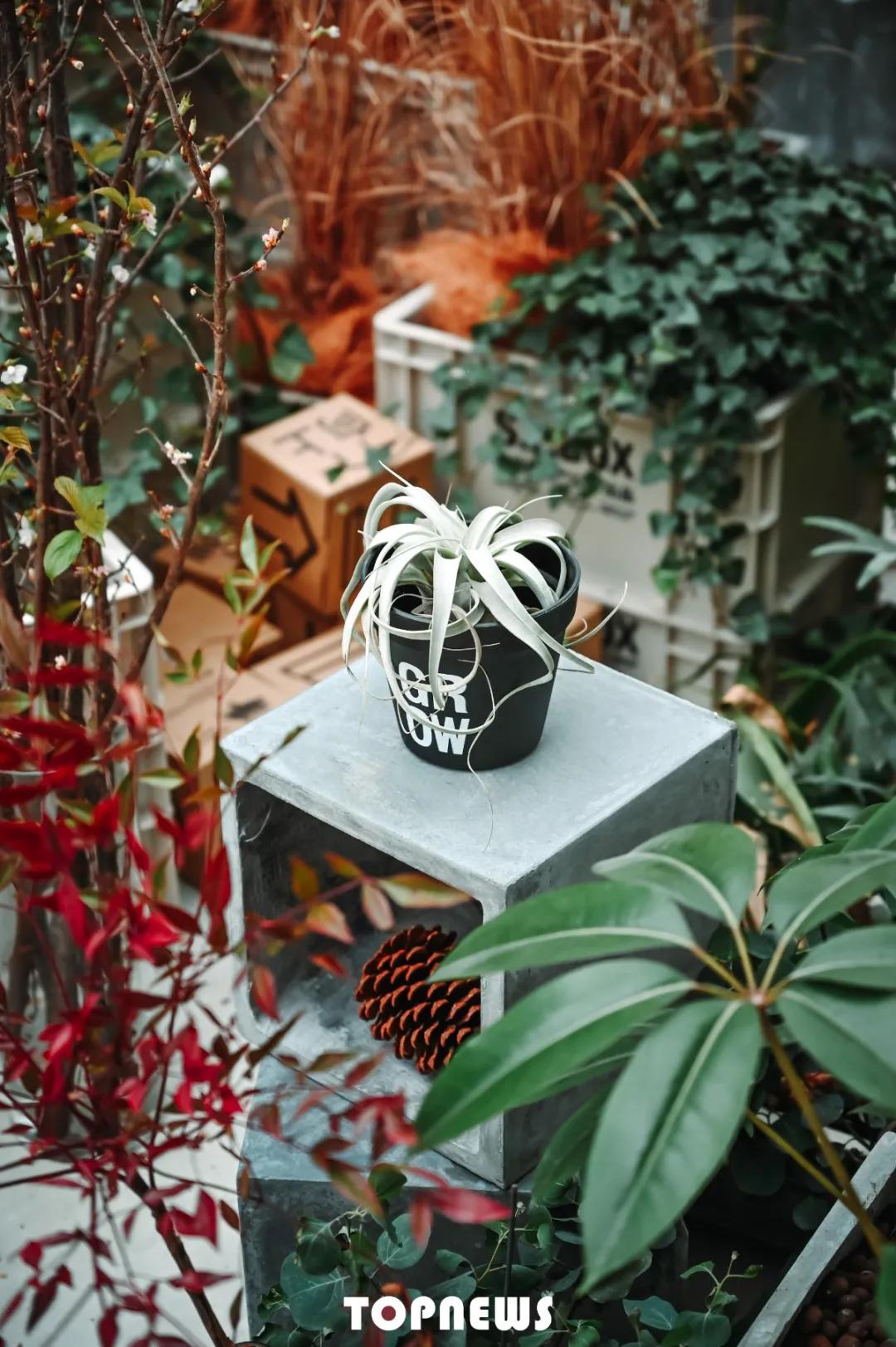 瞒不住了！魔都新晋小众创意园，随手一拍就是时尚大片