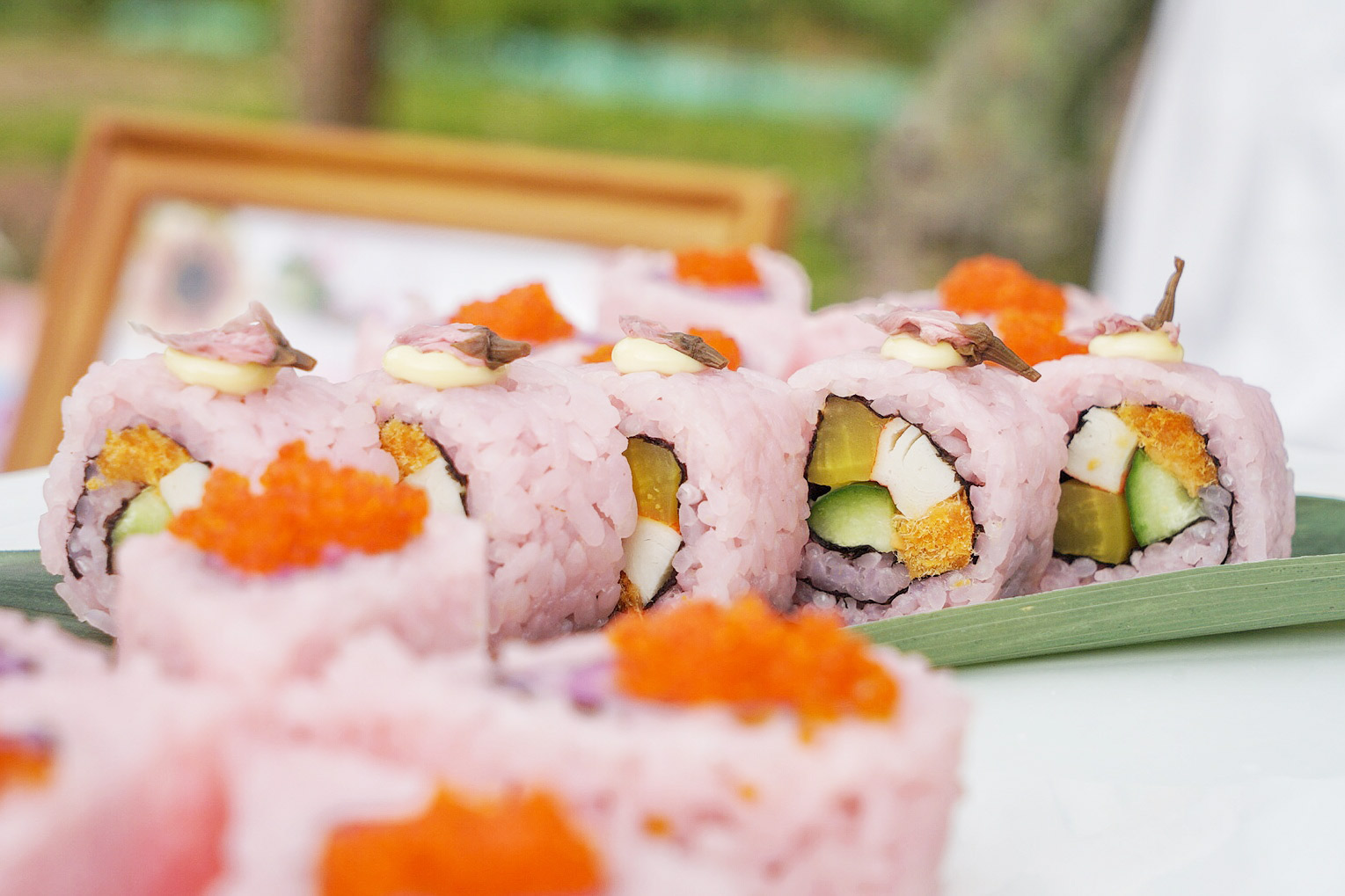 广州粉色浪漫花海,广东秋天粉色花海