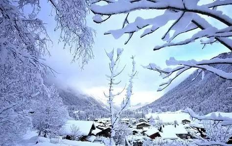 北京冬奥最全科普,我为冬奥加油视频