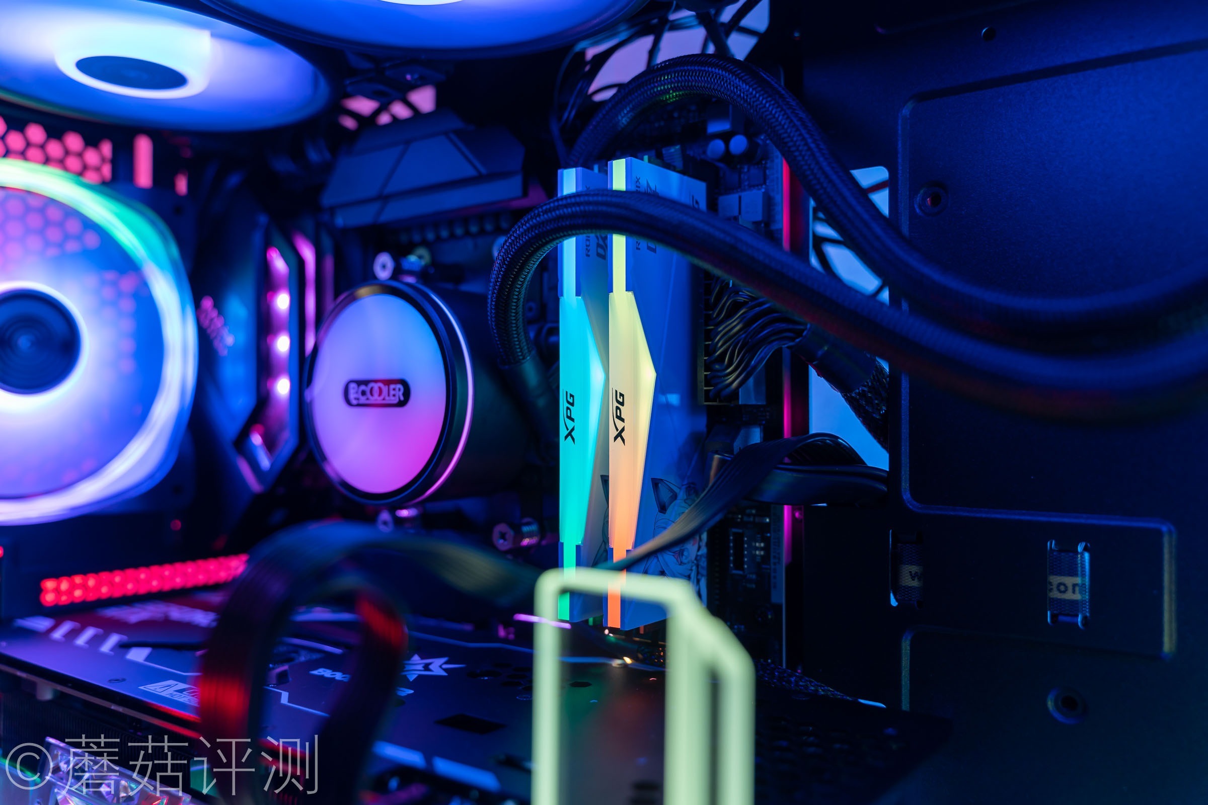 威刚龙耀d50吹雪联名用的什么颗粒,龙耀d50吹雪和普通版有什么区别