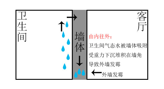 墙面渗水发霉脱落修补方法,墙面发霉是谁的责任
