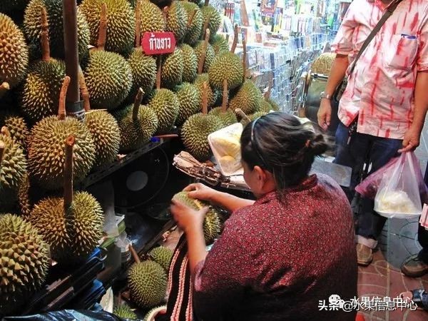 泰国最好的榴莲是什么榴莲,泰国榴莲与越南榴莲