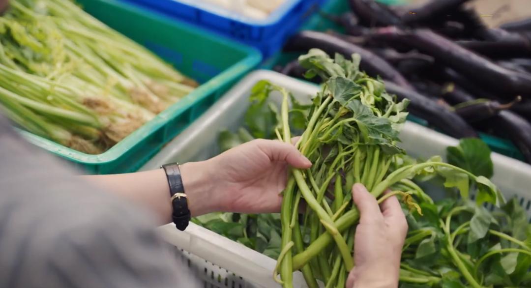 湖南卫视收视王炸豆瓣多少,湖南卫视最新的收视率