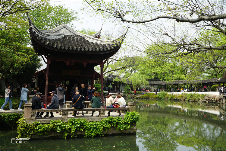 苏州景点拙政园,苏州拙政园感受