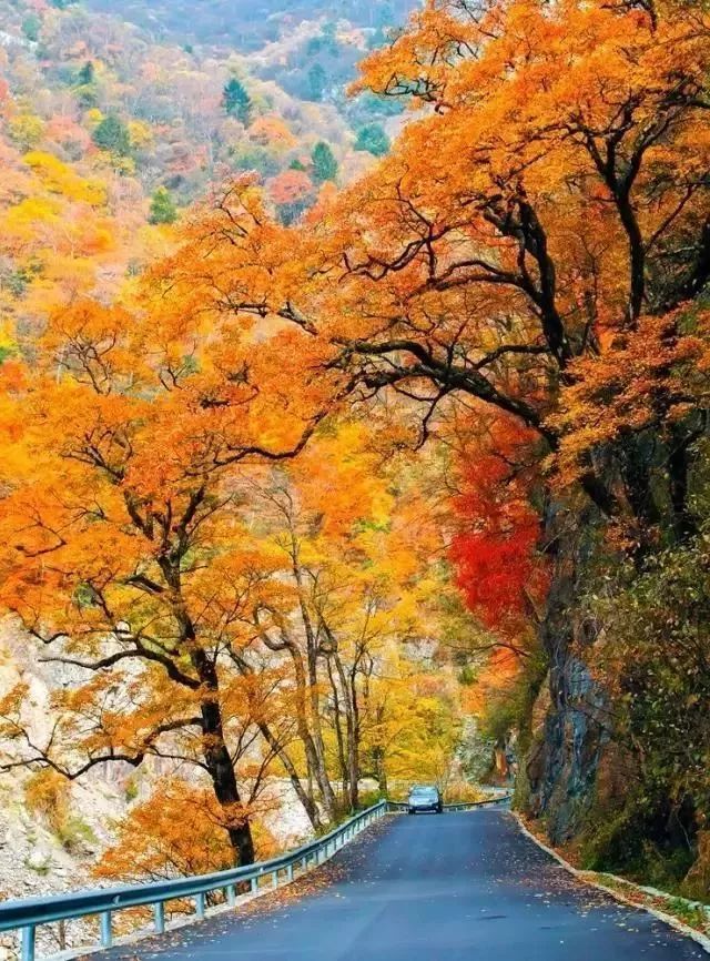 湖北深秋自驾游景点推荐,秋色彩林川西自驾