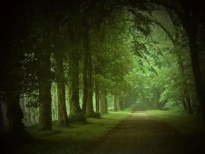 雨间的相遇，知音难觅