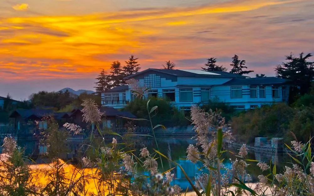 三亚和青岛旅游哪里好,三亚和青岛哪个好玩