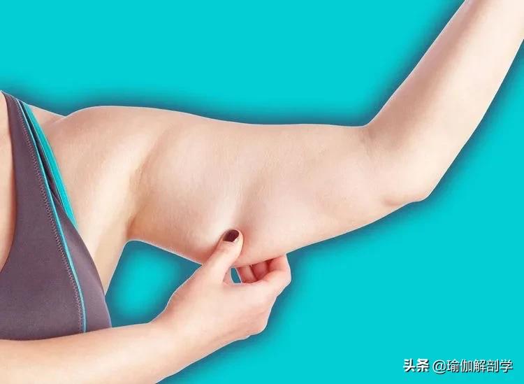 关节瑜伽每天必练8个动作,初学者瑜伽手臂练习