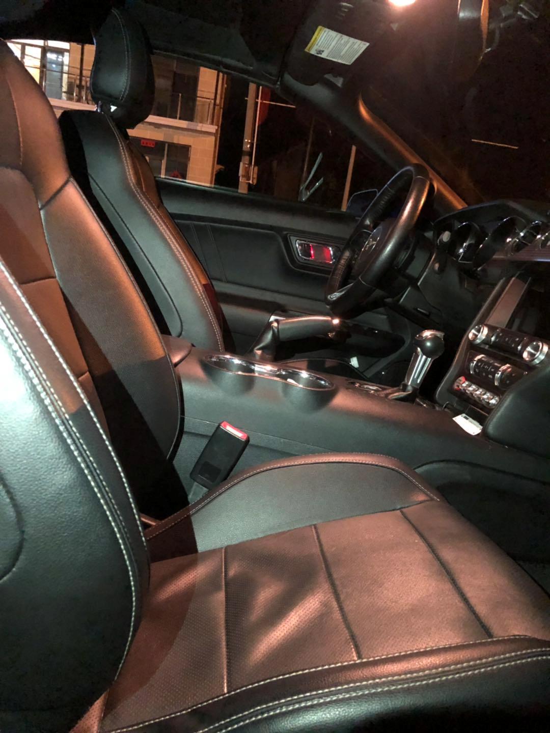 野马还是野驴,野马2.3t小野驴