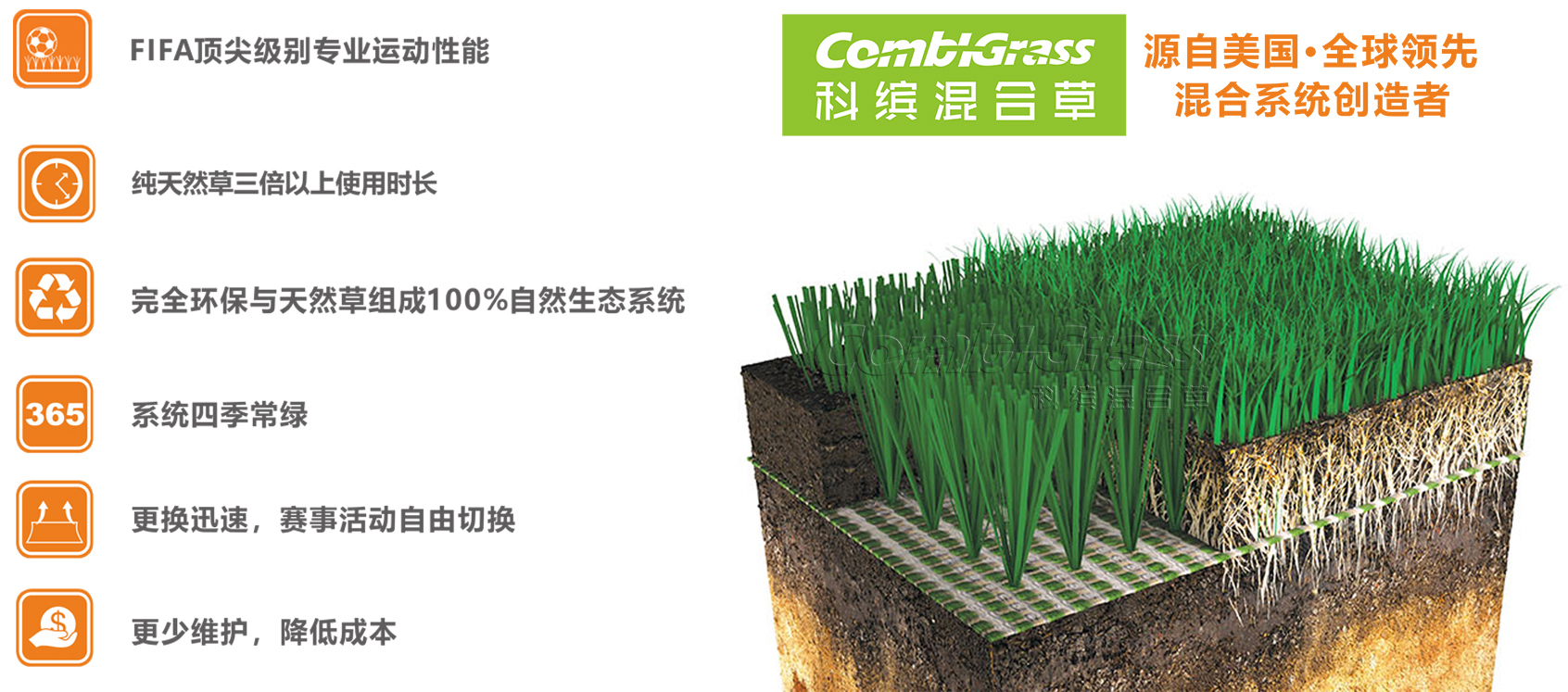 中国足协专业足球场,2022中国足协举办比赛场地