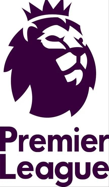 五大联赛各有多少球队,五大联赛哪里看