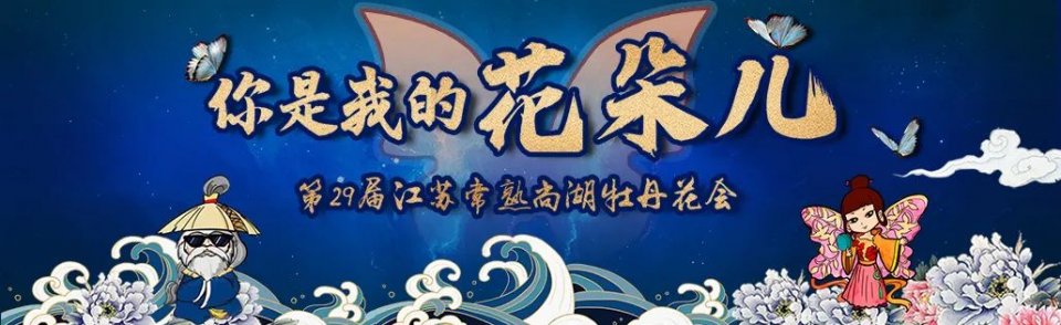 28届菏泽牡丹花会直播,38届洛阳牡丹花会直播