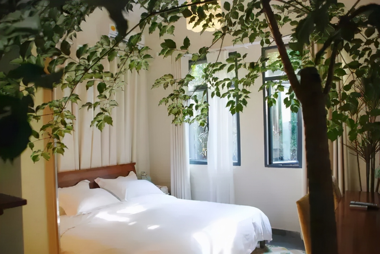 租乡下院子的乡村生活,把生活过成诗的院子