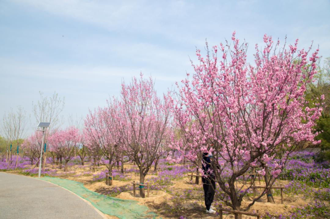 北京东小口城市休闲公园,北京四季公园美景