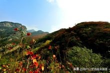 陕西是个好地方歌曲,陕西是一个很有文化底蕴的地方