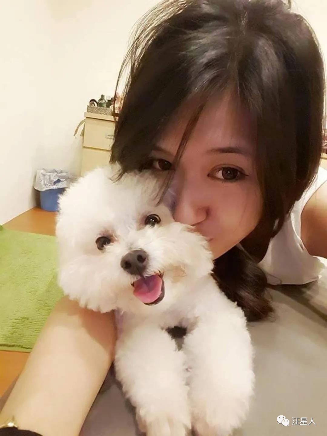 狗狗心脏病突发死亡需要多长时间,11岁的狗狗死了