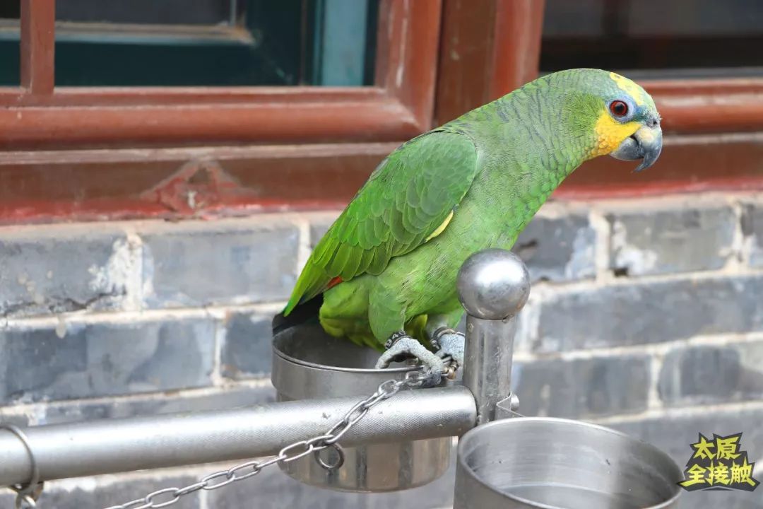 太原农家乐烧烤,山西有山有水的可以烧烤民宿