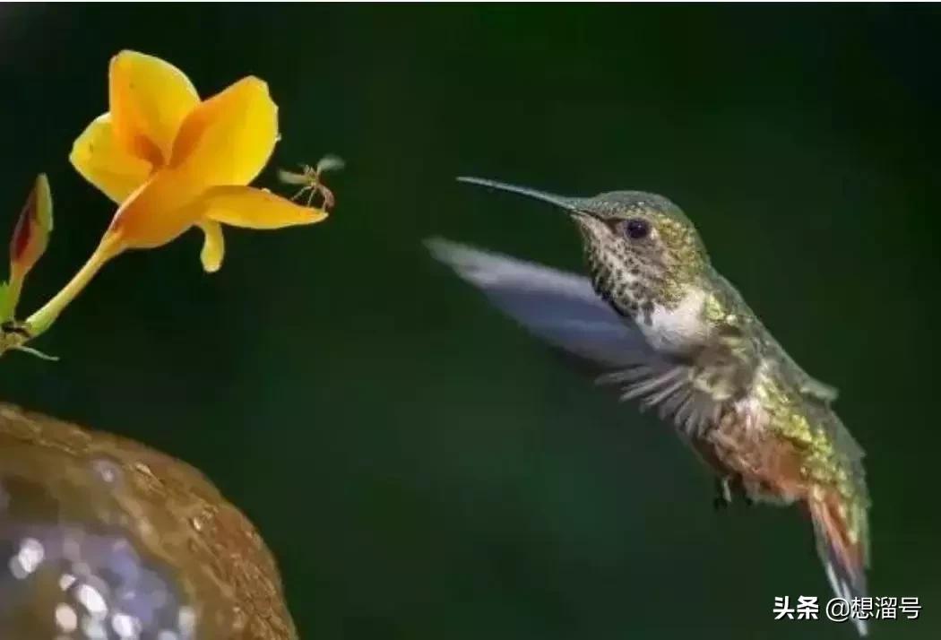 被囚34年取精，被迫亲手杀死爱子，最后只能挣扎着死去……