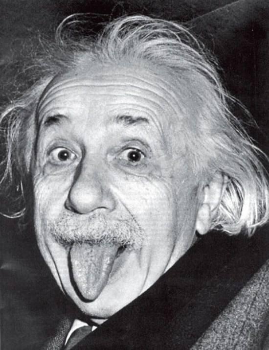 历史上忍者神龟,忍者神龟真实存在吗