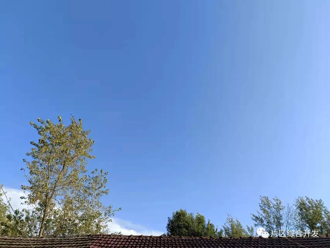 政府投资项目与政府投资概念区别,财政投资项目跟政府投资项目区别