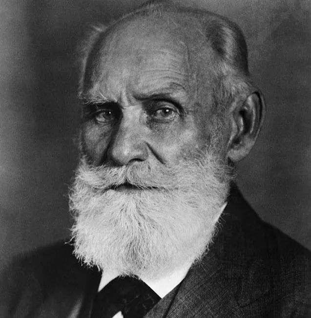 心理学治疗,心理学治疗情绪的方法