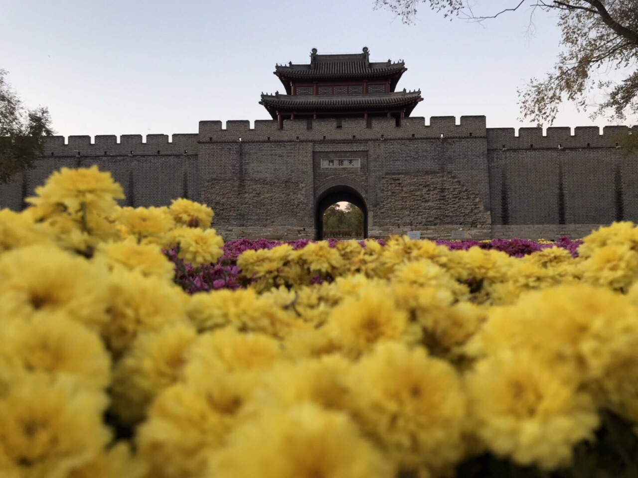 辽宁黑龙江吉林谁发展好,辽宁黑龙江吉林哪个更强