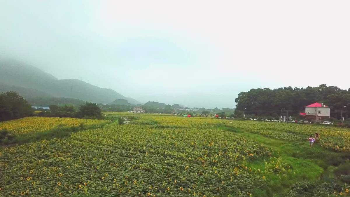 长沙市民去的长沙景点,其实长沙还藏着很多小众景点