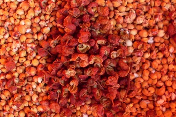 种植胡椒和花椒哪个赚钱些,自己种植花椒能赚钱吗