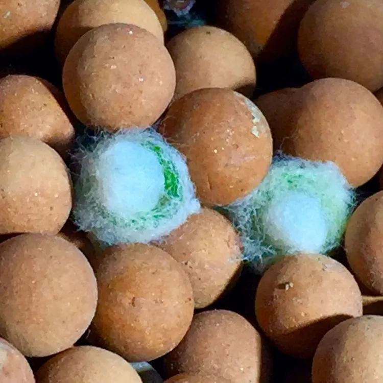 记录走过的美景留下美好的回忆,记录走过的每一段美好时光