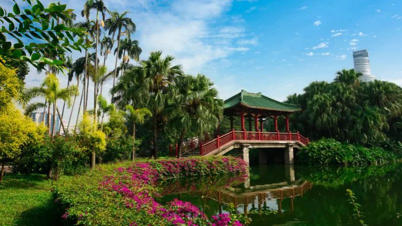 广州凉爽又好玩公园在哪里,夏季广州公园游玩攻略