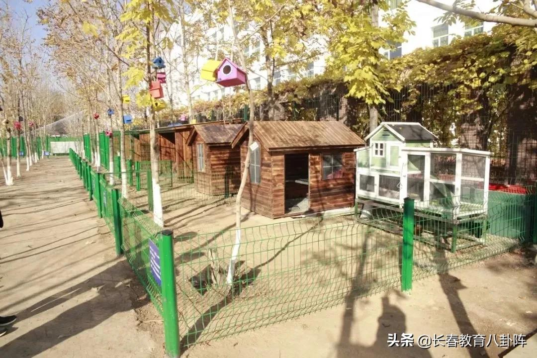 长春排名前十中小学,长春中小学哪些比较好