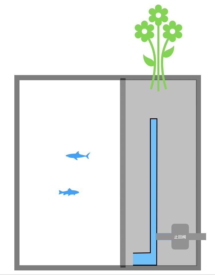 自制免换水生态鱼缸小型,自制自循环生态鱼缸